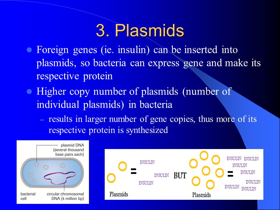 3. Plasmids Foreign genes (ie.