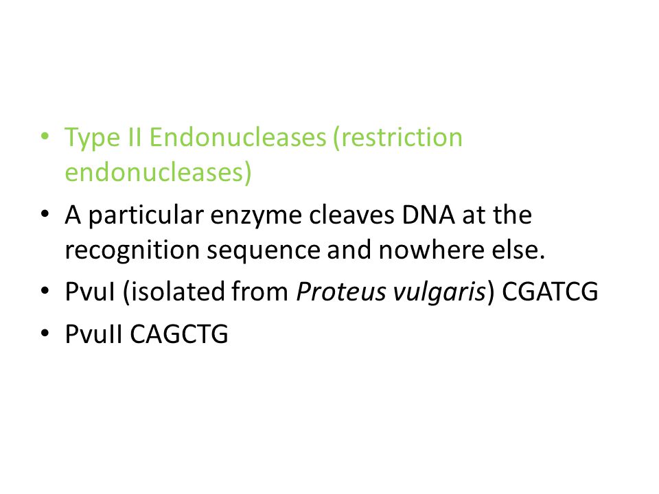 Type II Endonucleases (restriction endonucleases) A particular enzyme cleaves DNA at the recognition sequence and nowhere else.