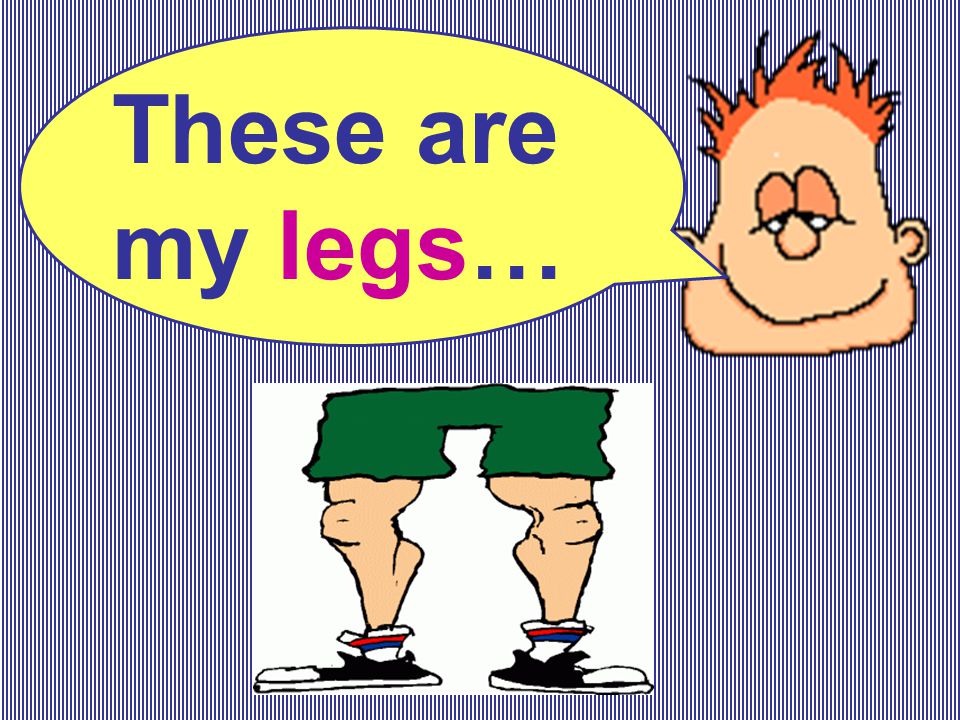 These are my legs…