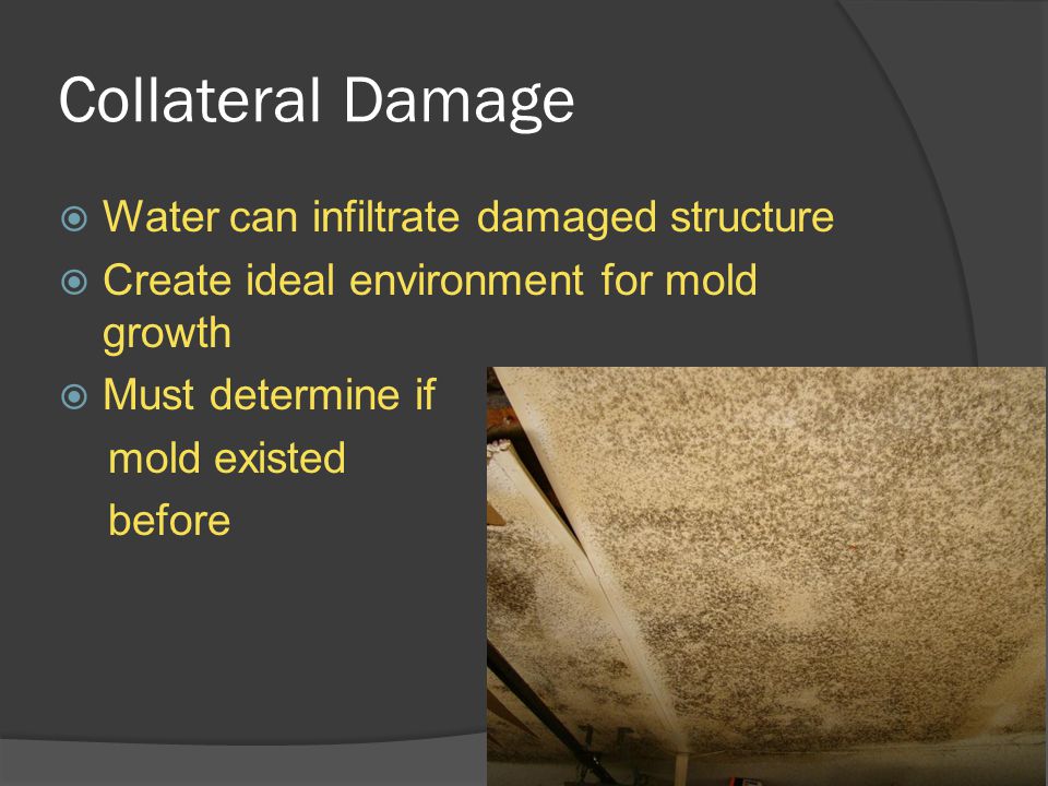 Collateral Damage  Water can infiltrate damaged structure  Create ideal environment for mold growth  Must determine if mold existed before