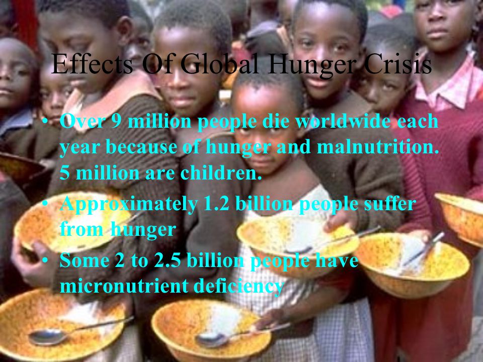 world hunger problems and solutions essay You can view samples updated 24 november, 2015 the annual fao, wildlife forest essay conservation and on wfp and ifad the state of food insecurity in the world reports provide a statistical world hunger problems and solutions essay overview on hunger, and are usually considered the main reference. world hunger problems and solutions essay You can view samples updated 24 november, 2015 the annual fao, wildlife forest essay conservation and on wfp and ifad the state of food insecurity in the world reports provide a statistical world hunger problems and solutions essay overview on hunger, and are usually considered the main reference.