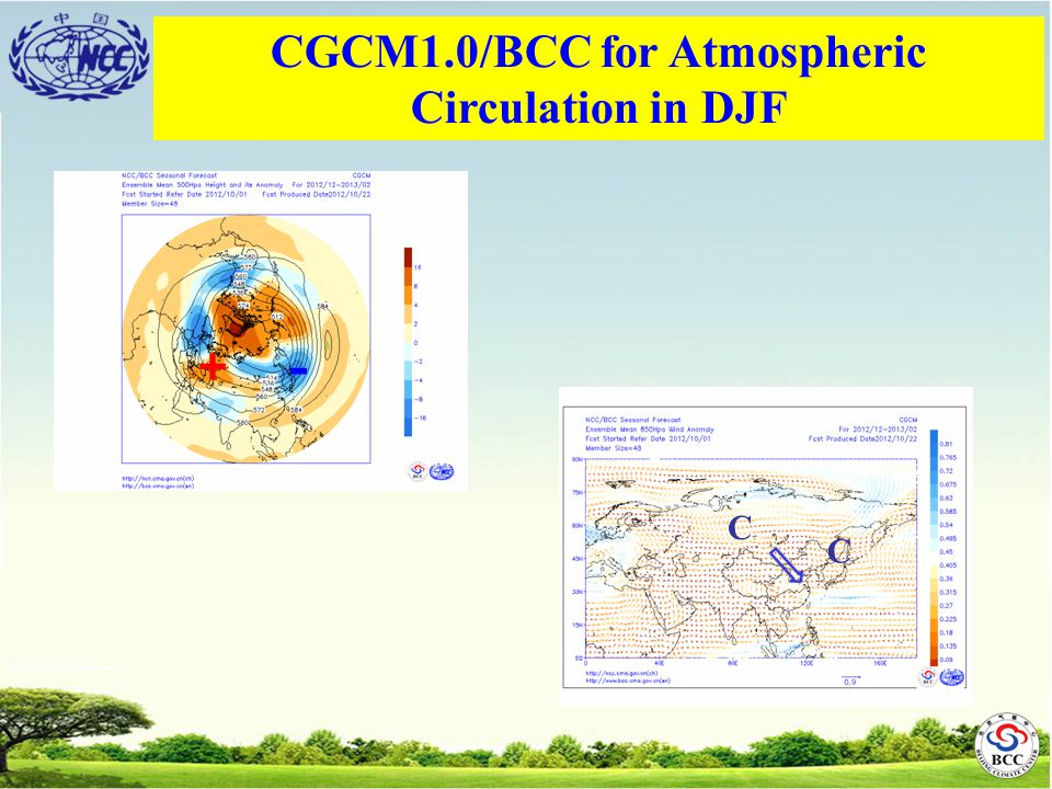 - + C C CGCM1.0/BCC for Atmospheric Circulation in DJF
