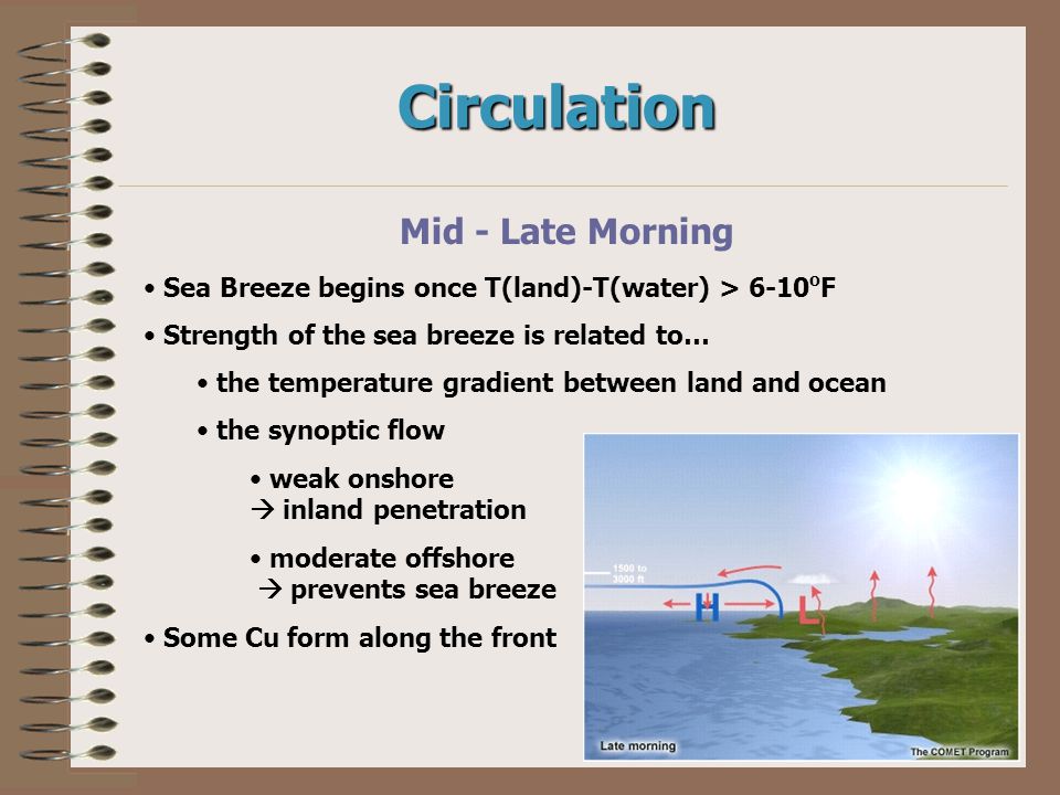 Monique crayon facial cumshots Sea breeze penetration