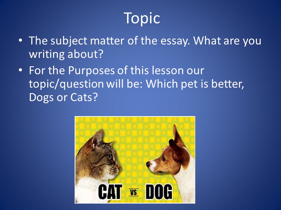 Topic The subject matter of the essay. What are you writing about.