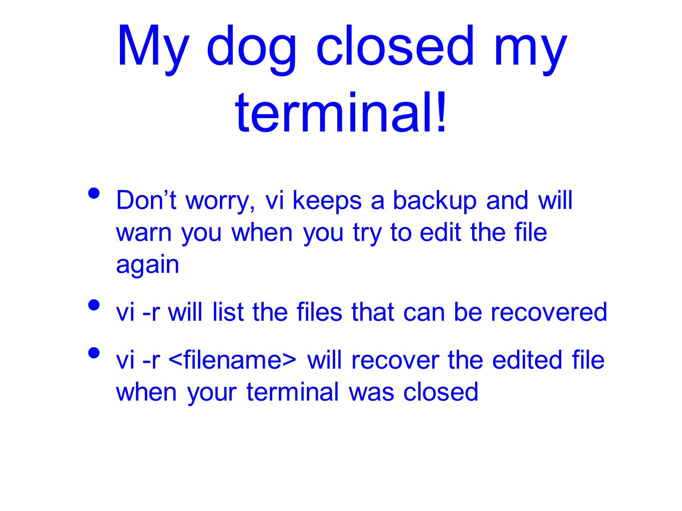 My dog closed my terminal.