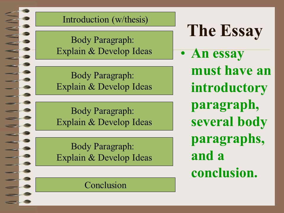 Writing A Conclusion To An Essay