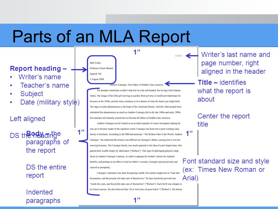 essay format for book reports essay format for book reports
