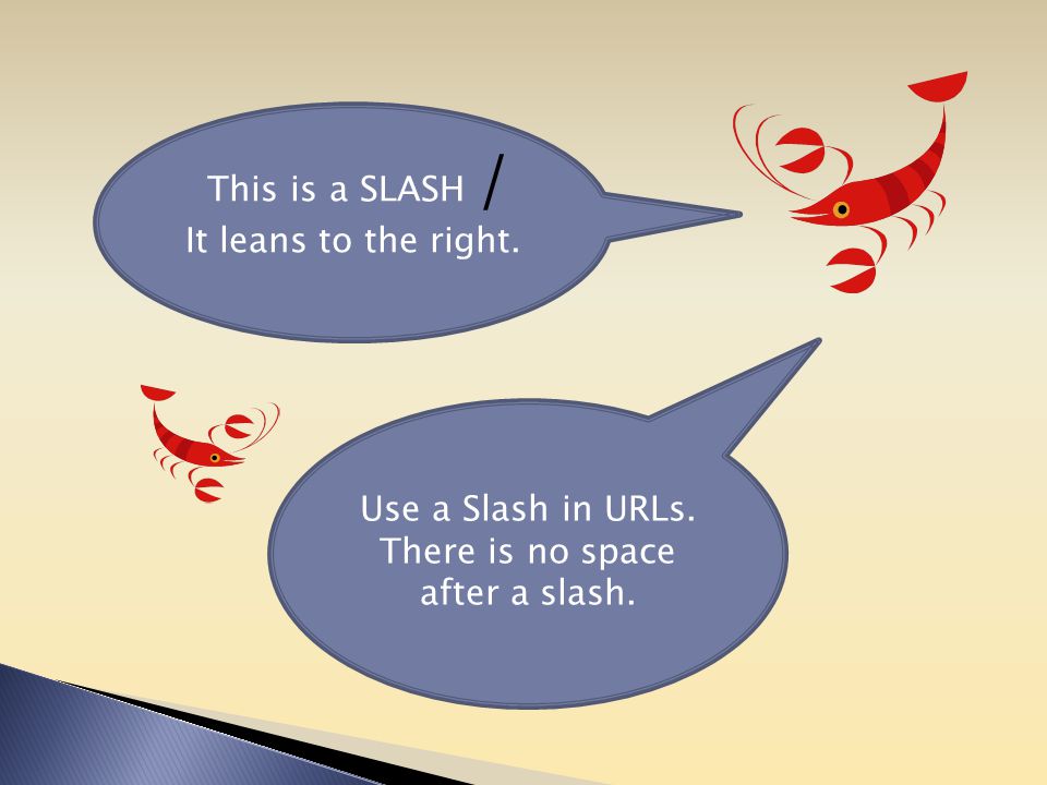This is a SLASH / It leans to the right. Use a Slash in URLs. There is no space after a slash.