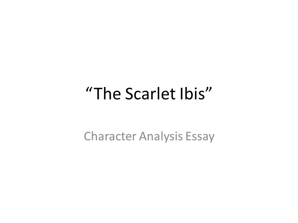 Scarlet ibis essay introduction