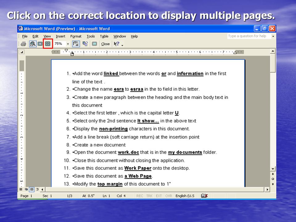 Click on the correct location to display multiple pages.