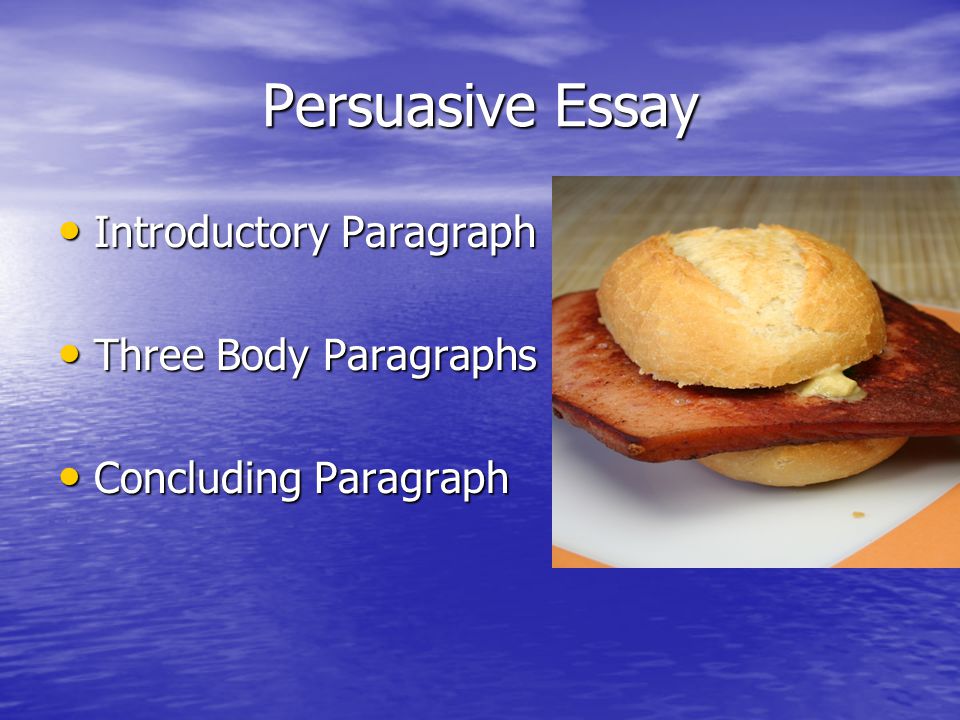 Revising the persuasive essay
