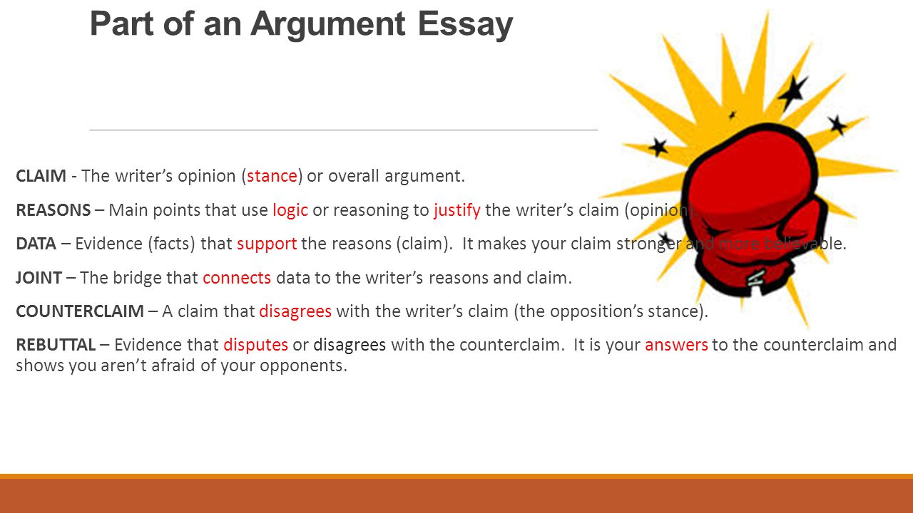 logic essay
