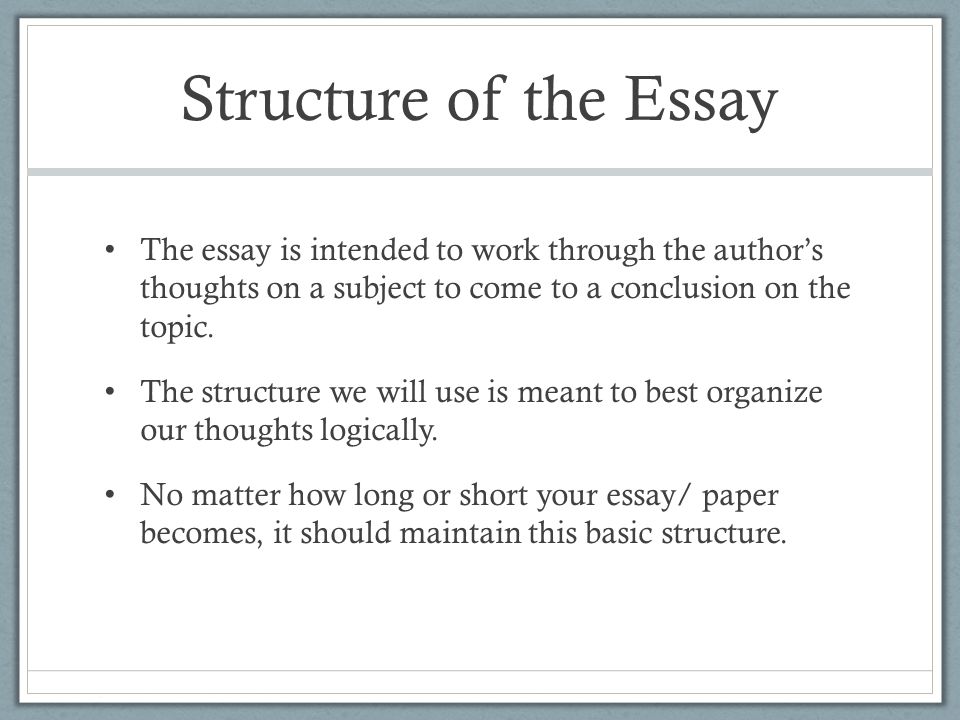 the structure of an essay plan An argumentative essay outline is an action plan which helps to put ideas together and start writing argumentative essay structure. the structure of an essay plan An argumentative essay outline is an action plan which helps to put ideas together and start writing argumentative essay structure.