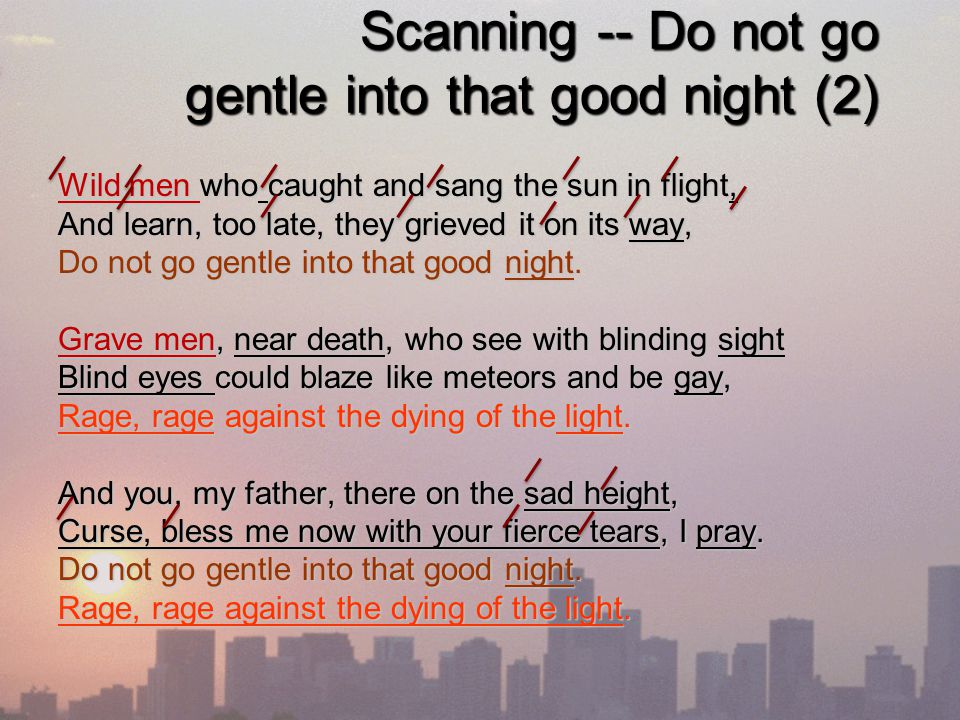 do not essay do not essay