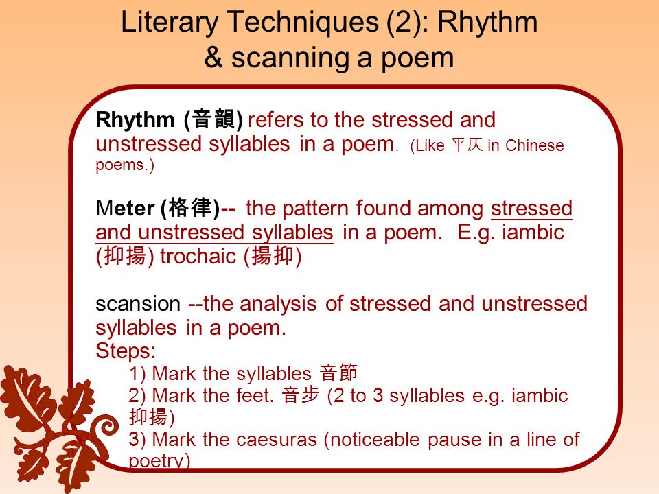 do not essay do not essay
