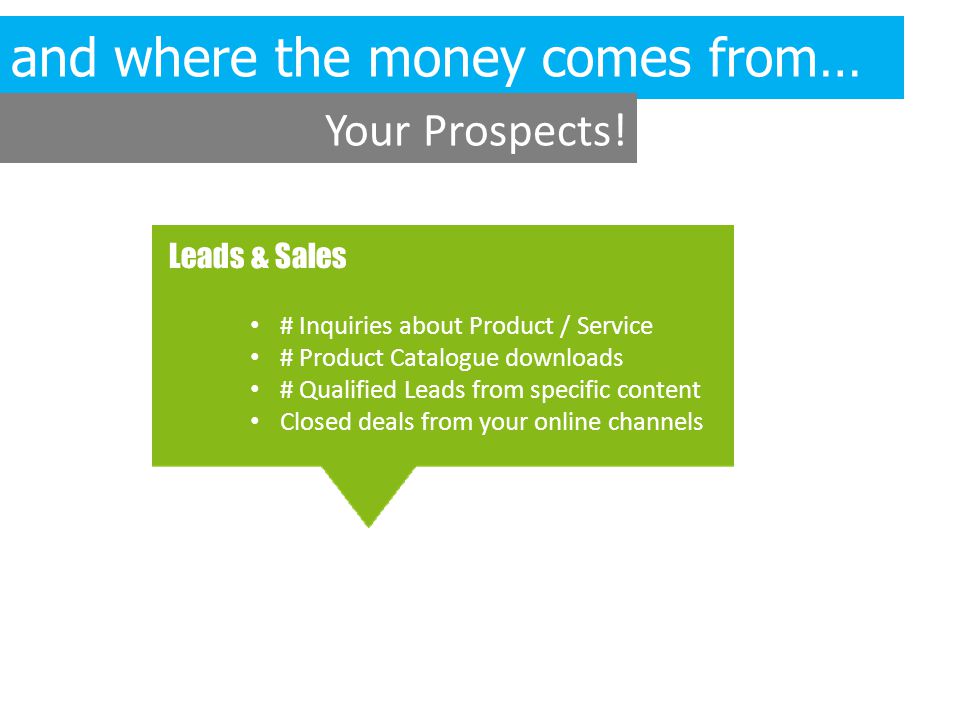 Leads & Sales # Inquiries about Product / Service # Product Catalogue downloads # Qualified Leads from specific content Closed deals from your online channels and where the money comes from… Your Prospects!