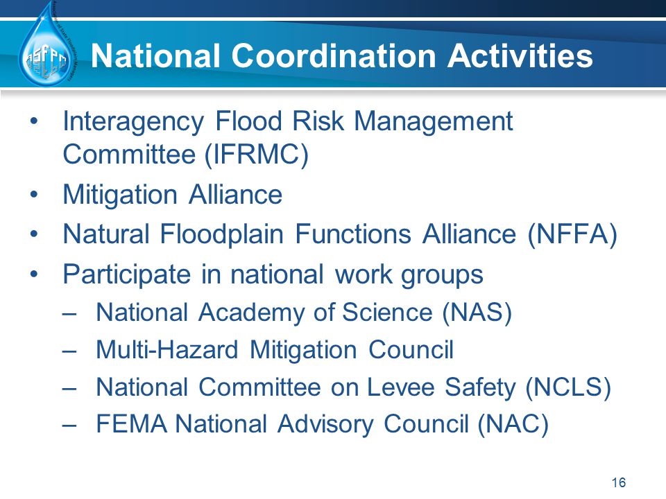 National Coordination Activities Interagency Flood Risk Management Committee (IFRMC) Mitigation Alliance Natural Floodplain Functions Alliance (NFFA) Participate in national work groups –National Academy of Science (NAS) –Multi-Hazard Mitigation Council –National Committee on Levee Safety (NCLS) –FEMA National Advisory Council (NAC) 16
