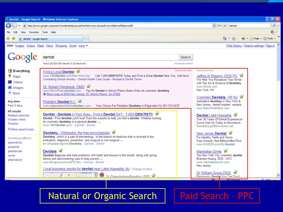 Natural or Organic SearchPaid Search – PPC