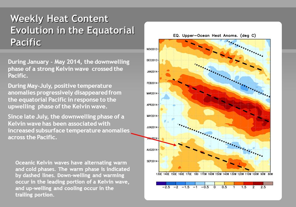 Weekly Heat Content Evolution in the Equatorial Pacific Oceanic Kelvin waves have alternating warm and cold phases.