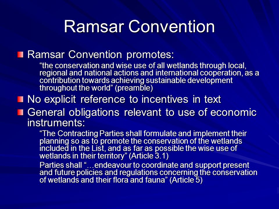 Ramsar Convention Ramsar Convention promotes: the conservation and wise use of all wetlands through local, regional and national actions and international cooperation, as a contribution towards achieving sustainable development throughout the world (preamble) No explicit reference to incentives in text General obligations relevant to use of economic instruments: The Contracting Parties shall formulate and implement their planning so as to promote the conservation of the wetlands included in the List, and as far as possible the wise use of wetlands in their territory (Article 3.1) Parties shall …endeavour to coordinate and support present and future policies and regulations concerning the conservation of wetlands and their flora and fauna (Article 5)