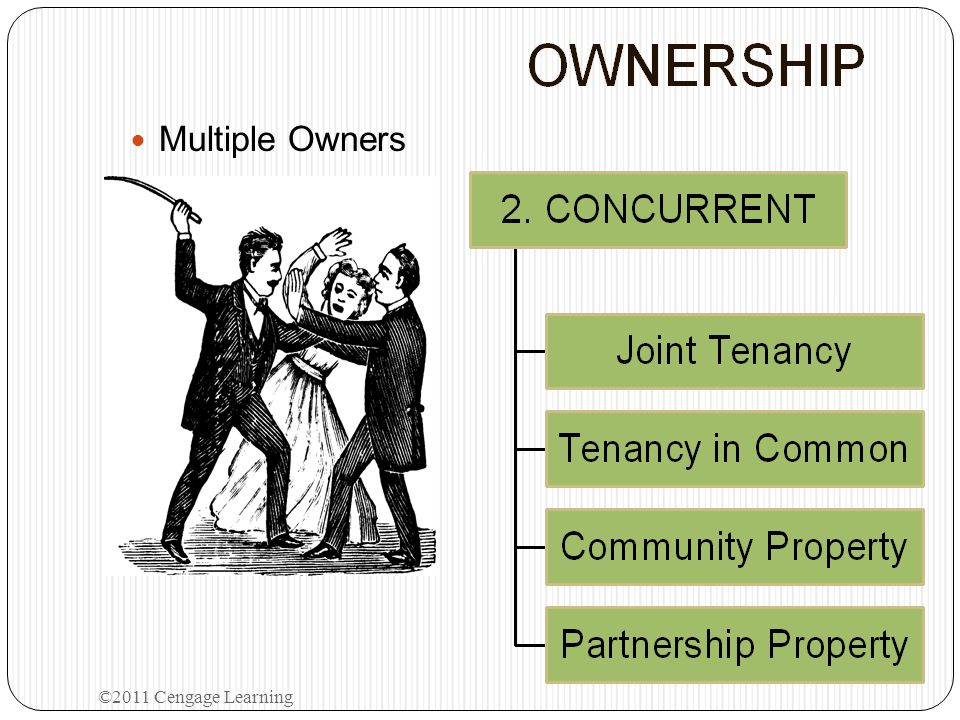 Multiple Owners ©2011 Cengage Learning