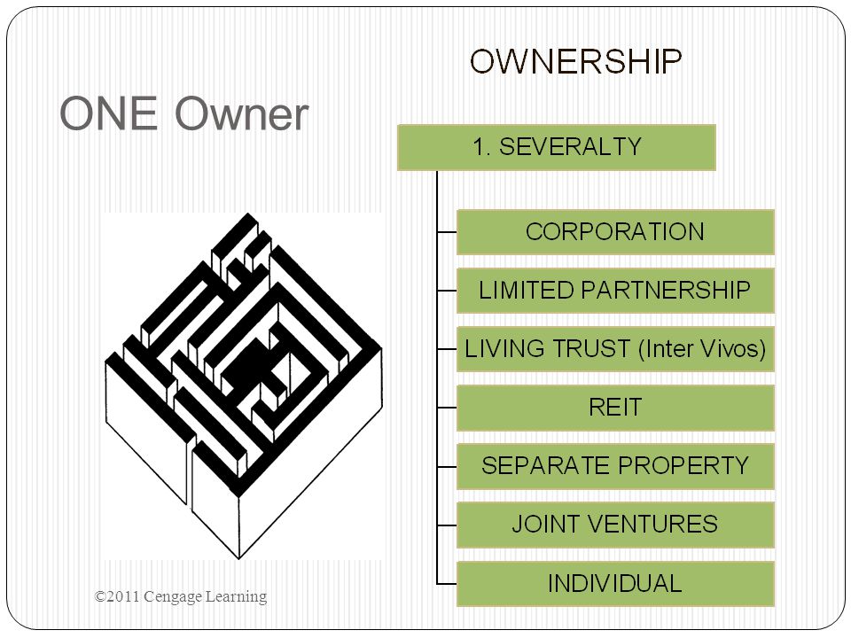 ONE Owner ©2011 Cengage Learning