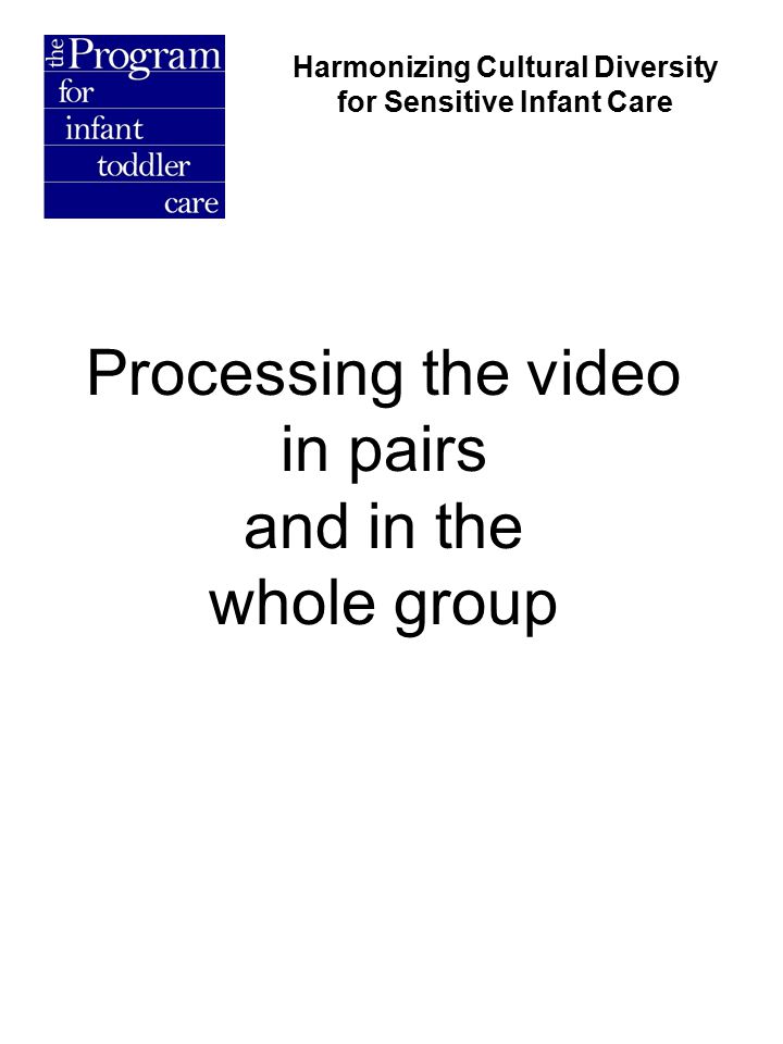 Processing the video in pairs and in the whole group Harmonizing Cultural Diversity for Sensitive Infant Care