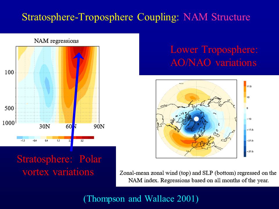 Stratosphere: Polar vortex variations (Thompson and Wallace 2001) Stratosphere-Troposphere Coupling: NAM Structure Lower Troposphere: AO/NAO variations