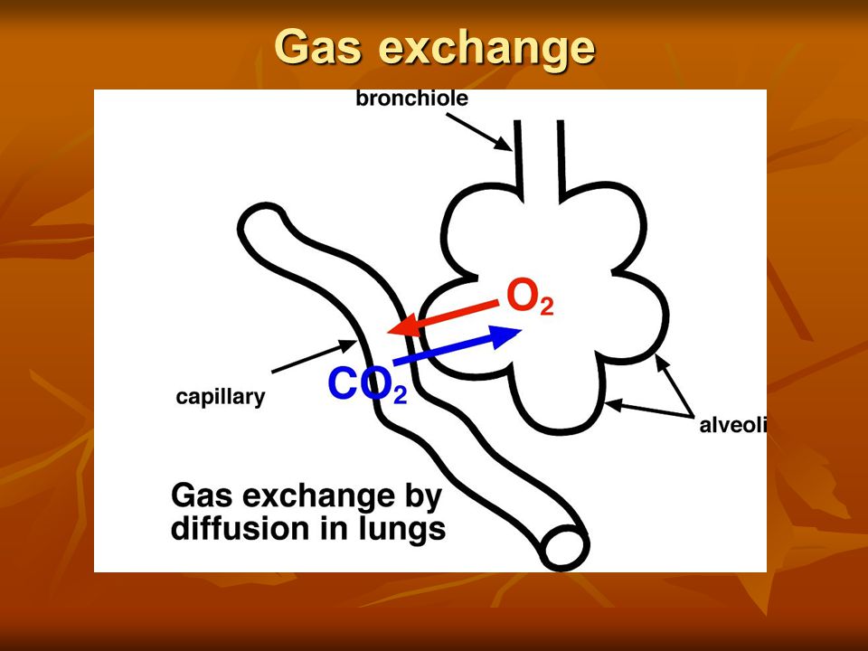 Gas exchange