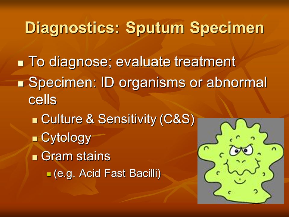 Diagnostics: Sputum Specimen To diagnose; evaluate treatment To diagnose; evaluate treatment Specimen: ID organisms or abnormal cells Specimen: ID organisms or abnormal cells Culture & Sensitivity (C&S) Culture & Sensitivity (C&S) Cytology Cytology Gram stains Gram stains (e.g.