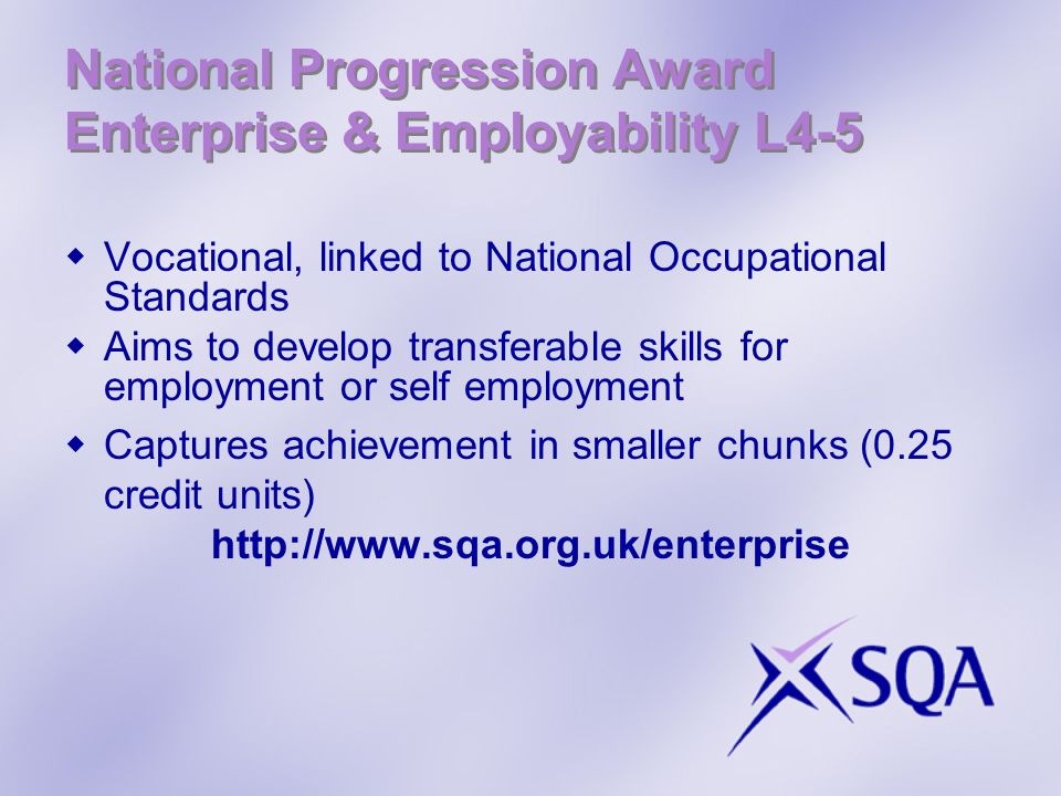 National Progression Award Enterprise & Employability L4-5  Vocational, linked to National Occupational Standards  Aims to develop transferable skills for employment or self employment  Captures achievement in smaller chunks (0.25 credit units)