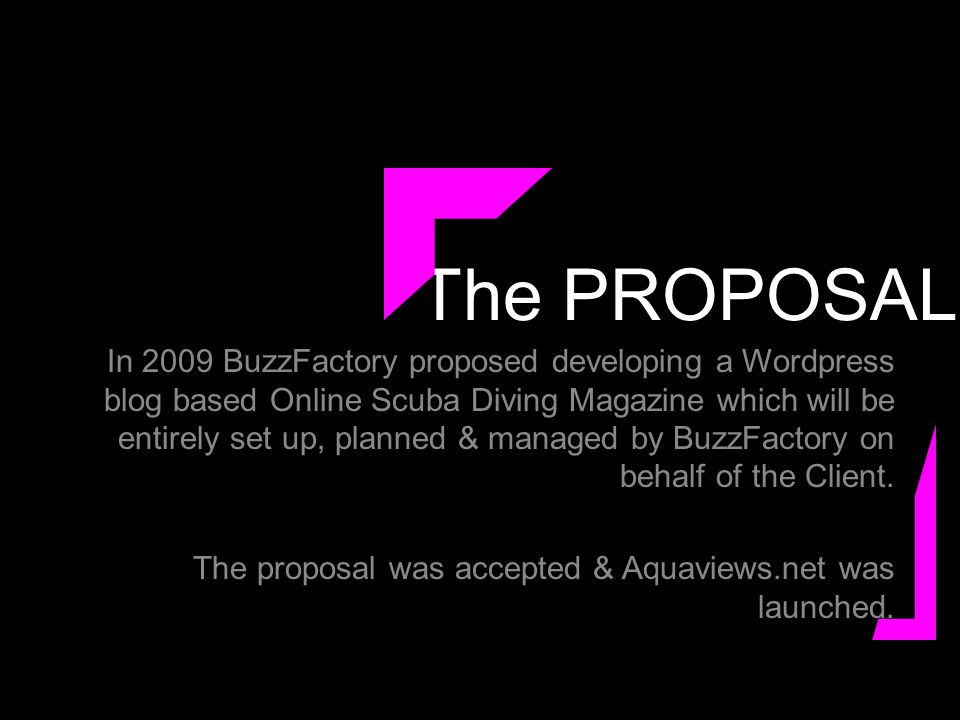 The PROPOSAL In 2009 BuzzFactory proposed developing a Wordpress blog based Online Scuba Diving Magazine which will be entirely set up, planned & managed by BuzzFactory on behalf of the Client.