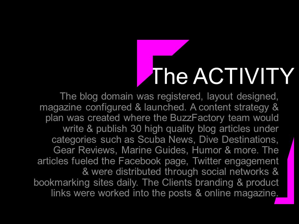 The ACTIVITY The blog domain was registered, layout designed, magazine configured & launched.