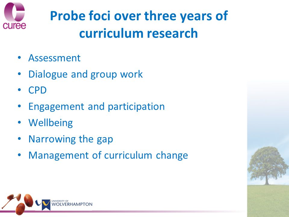 Probe foci over three years of curriculum research Assessment Dialogue and group work CPD Engagement and participation Wellbeing Narrowing the gap Management of curriculum change