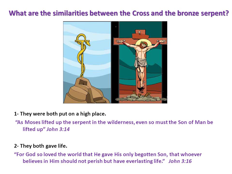 What are the similarities between the Cross and the bronze serpent.