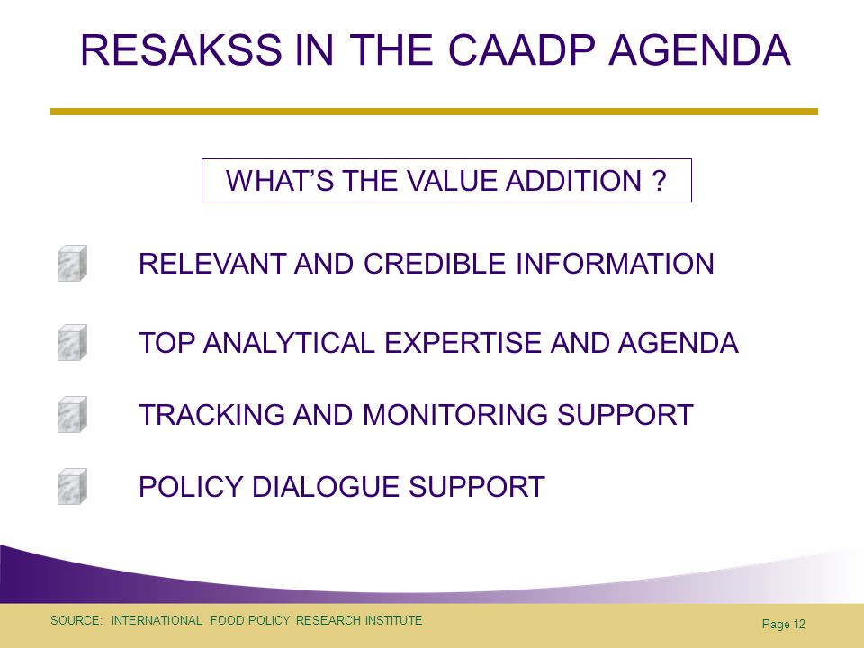 SOURCE: INTERNATIONAL FOOD POLICY RESEARCH INSTITUTE Page 12 RESAKSS IN THE CAADP AGENDA RELEVANT AND CREDIBLE INFORMATION TOP ANALYTICAL EXPERTISE AND AGENDA TRACKING AND MONITORING SUPPORT POLICY DIALOGUE SUPPORT WHAT’S THE VALUE ADDITION