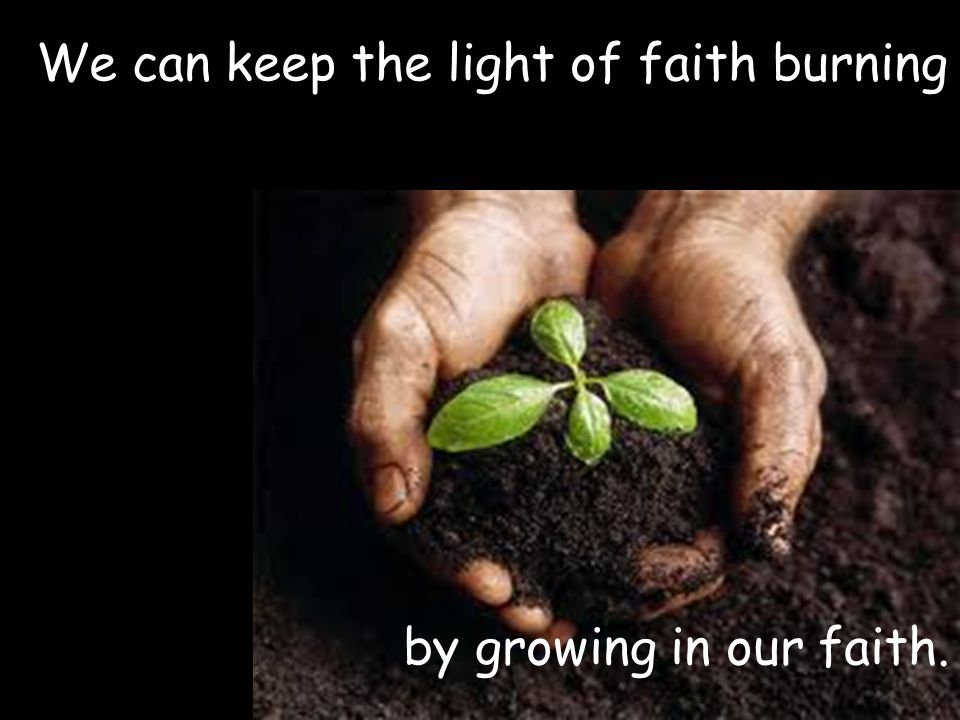 We can keep the light of faith burning by growing in our faith.