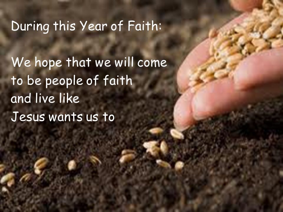 During this Year of Faith: We hope that we will come to be people of faith and live like Jesus wants us to