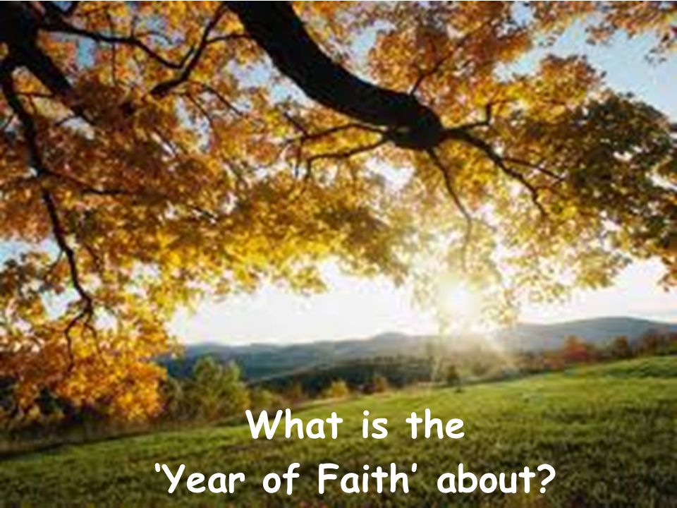 What is the ‘Year of Faith’ about