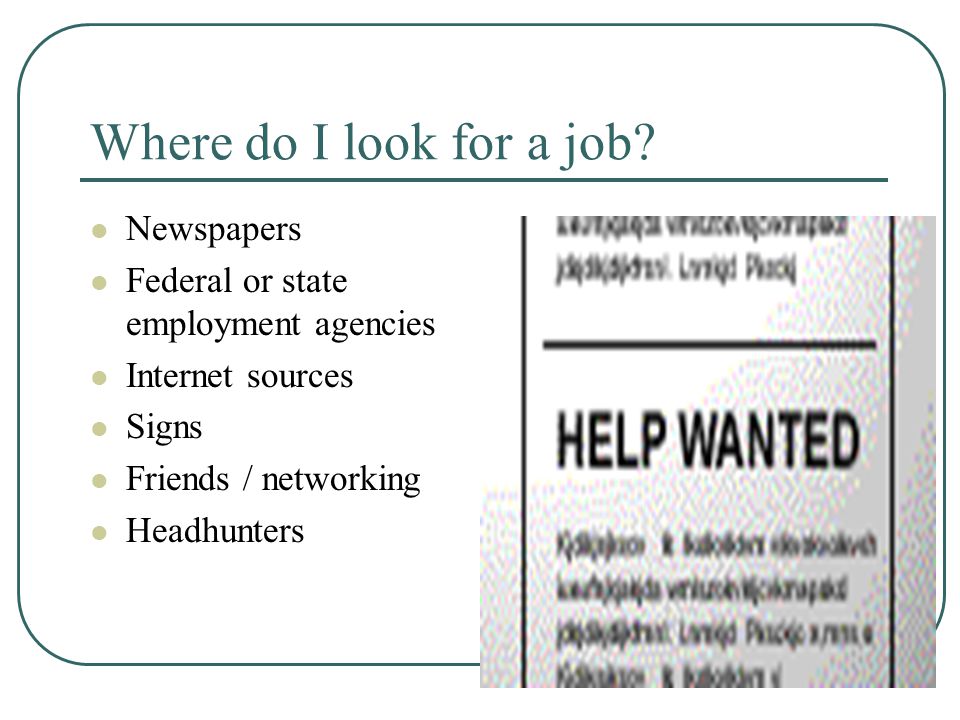 Where do I look for a job.