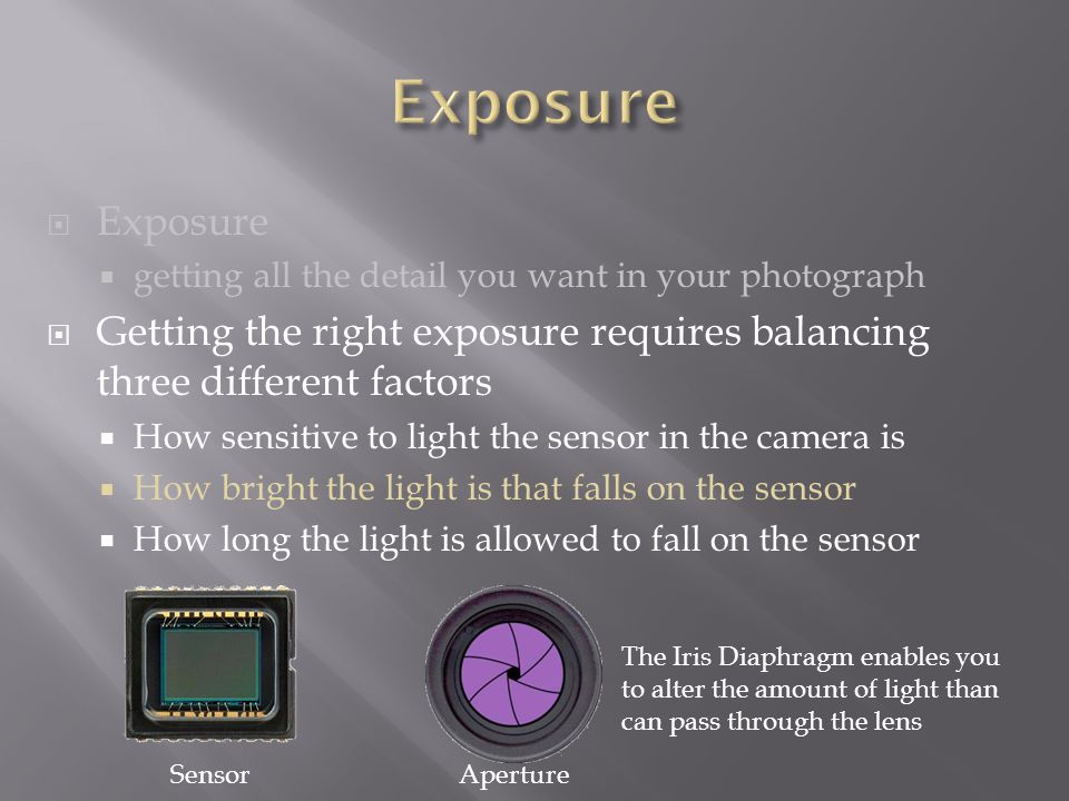  Exposure  getting all the detail you want in your photograph  Getting the right exposure requires balancing three different factors  How sensitive to light the sensor in the camera is  How bright the light is that falls on the sensor  How long the light is allowed to fall on the sensor SensorAperture The Iris Diaphragm enables you to alter the amount of light than can pass through the lens