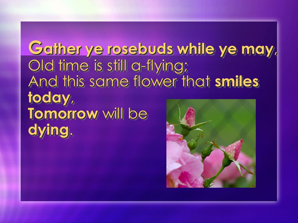 G ather ye rosebuds while ye may, Old time is still a-flying; And this same flower that smiles today, Tomorrow will be dying.