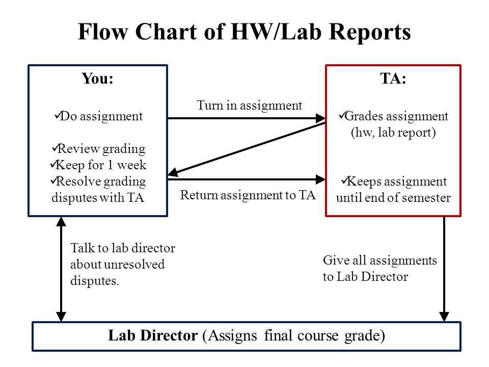 Flow Chart of HW/Lab Reports You: Do assignment Review grading Keep for 1 week Resolve grading disputes with TA TA: Grades assignment (hw, lab report) Keeps assignment until end of semester Turn in assignment Return assignment to TA Lab Director (Assigns final course grade) Give all assignments to Lab Director Talk to lab director about unresolved disputes.