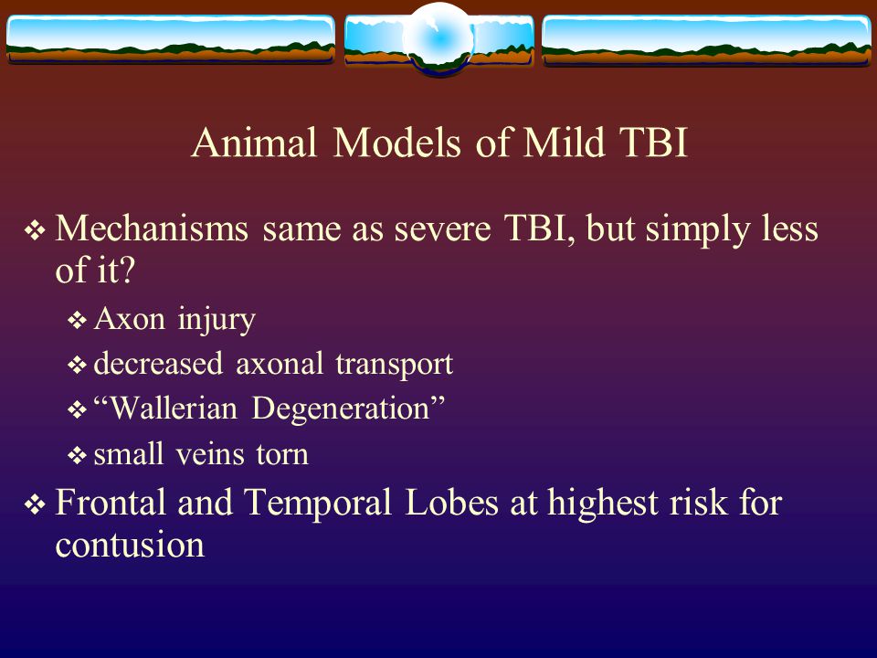Animal Models of Mild TBI  Mechanisms same as severe TBI, but simply less of it.