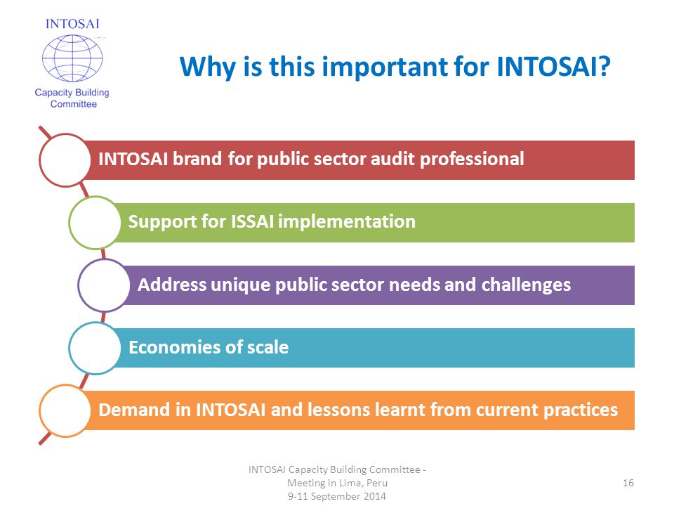 Why is this important for INTOSAI.