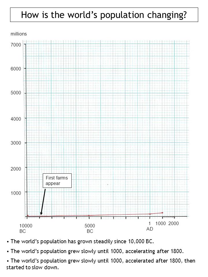 opinion essay on computers education education