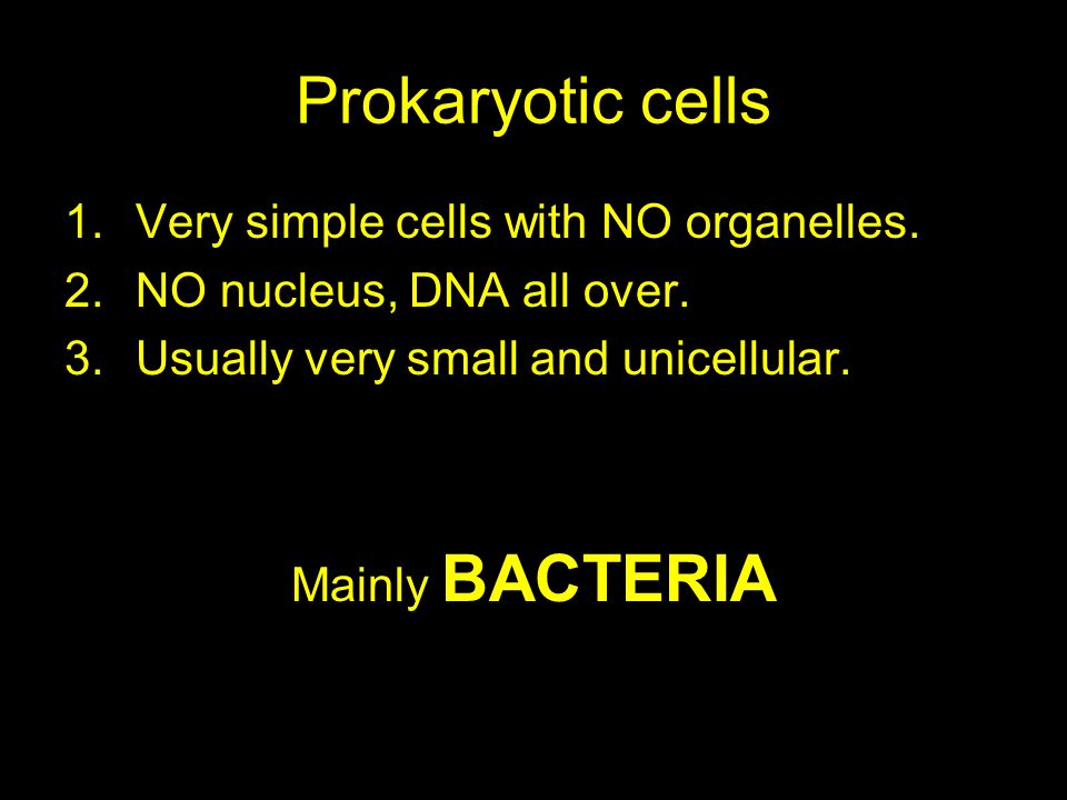 Prokaryotic cells 1.Very simple cells with NO organelles.