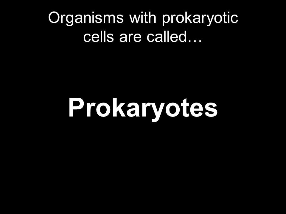 Organisms with prokaryotic cells are called… Prokaryotes
