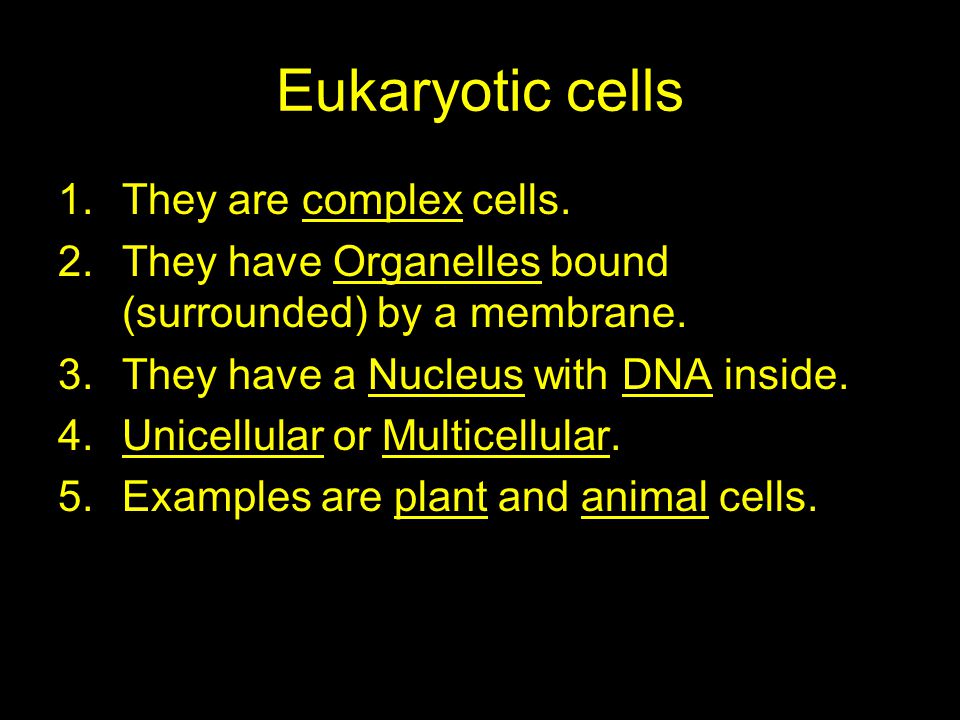 Eukaryotic cells 1.They are complex cells. 2.They have Organelles bound (surrounded) by a membrane.
