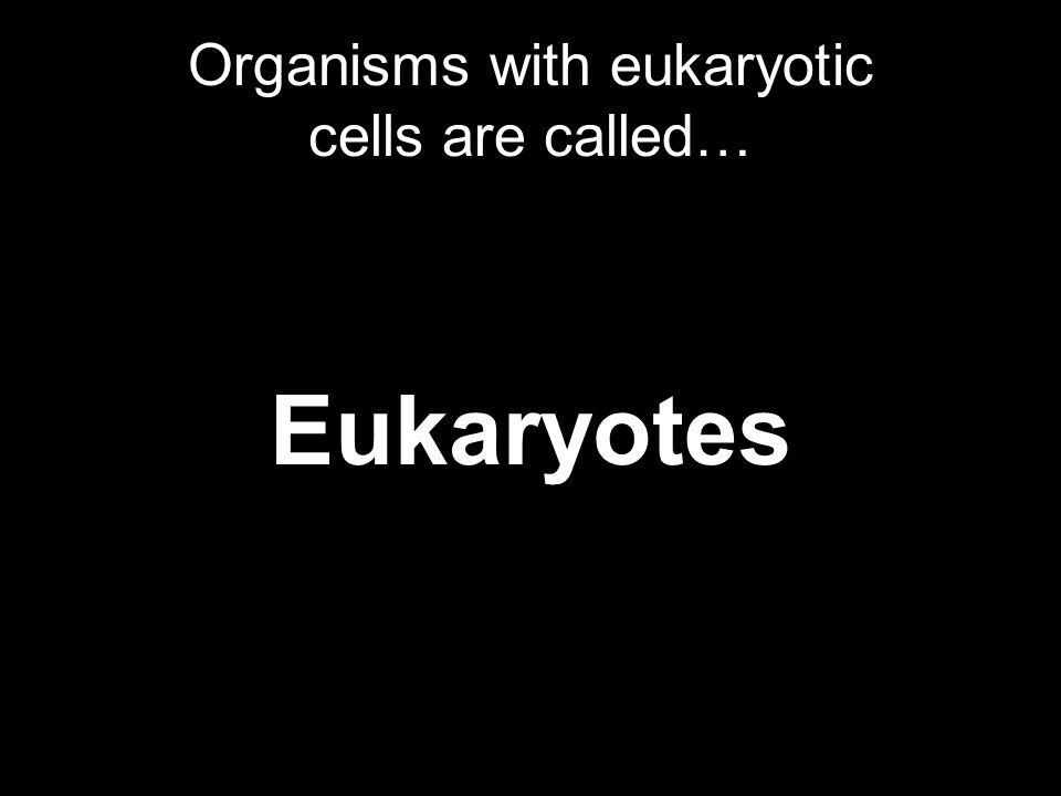 Organisms with eukaryotic cells are called… Eukaryotes